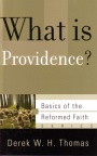 What is Providence ? - BORF